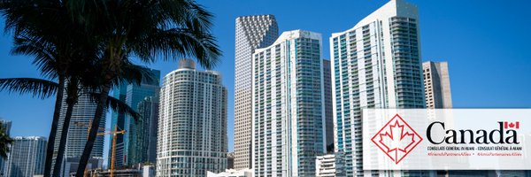 Sylvia Cesaratto banner