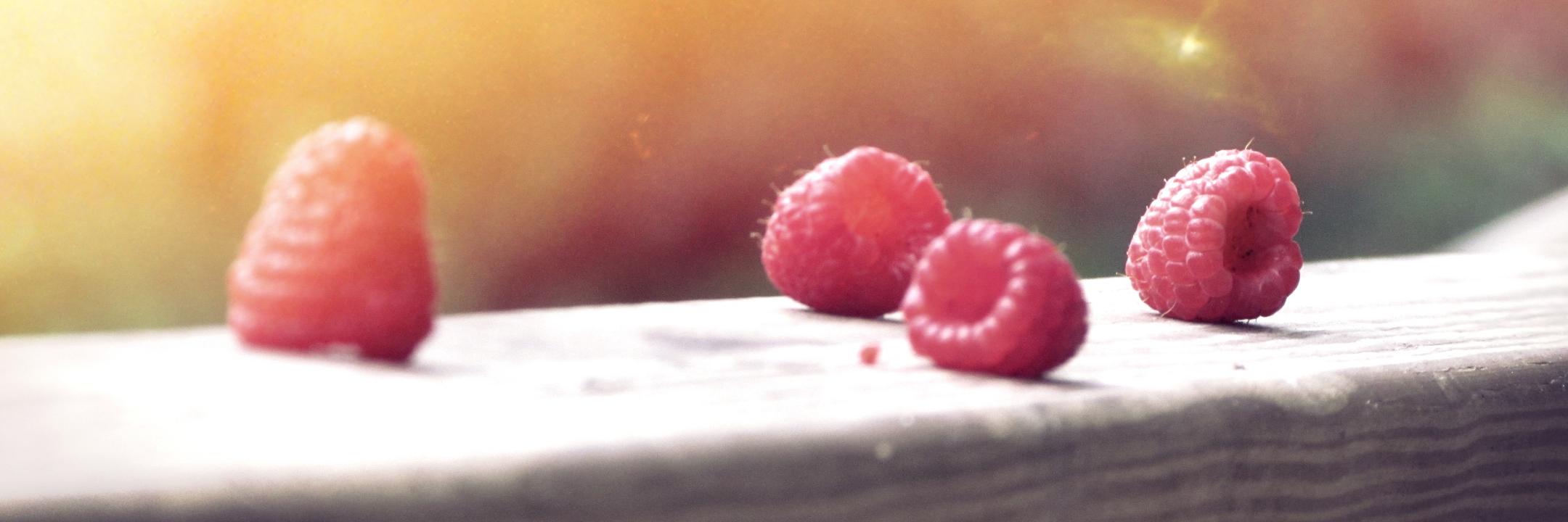 you2bite_es's profile banner image