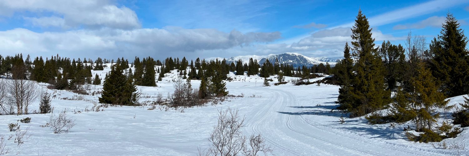 Fredrik Vraalsen banner