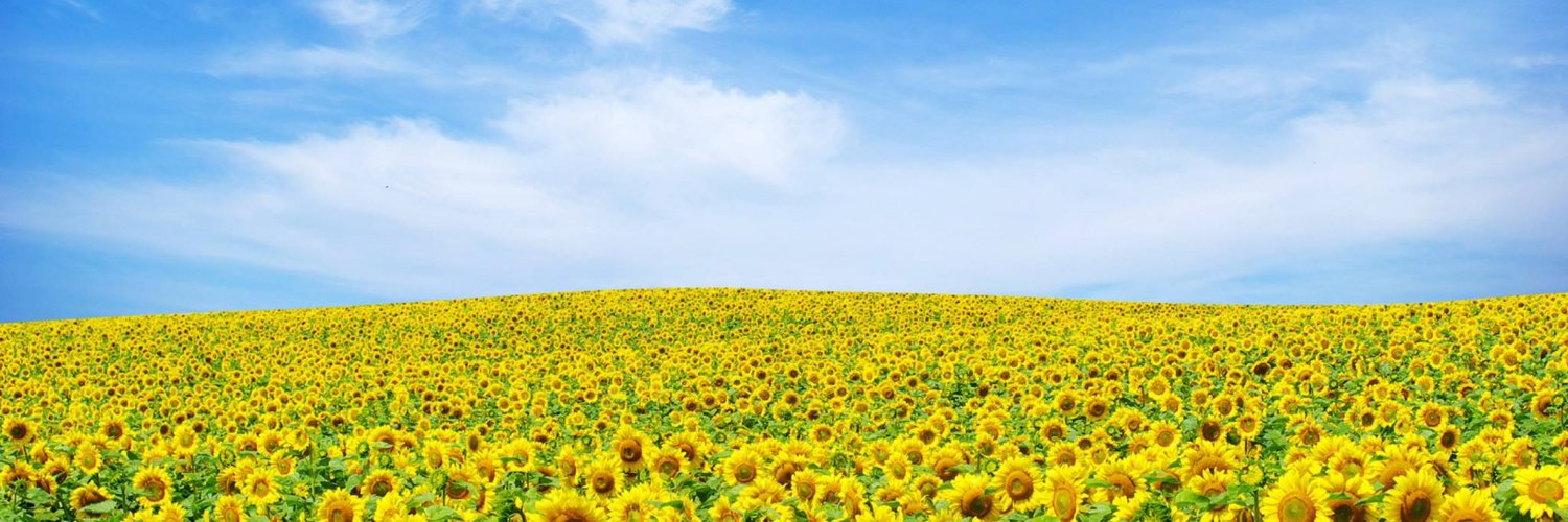 maltebaenger's profile banner image