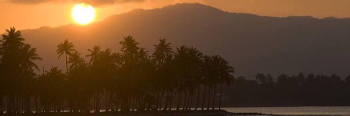 edithjzs's profile banner image