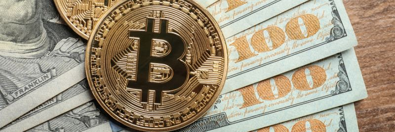 Everycryptoday's profile banner image