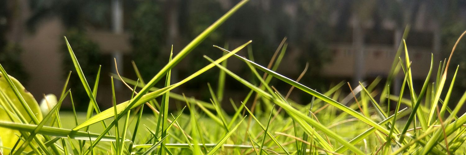RealGokulP's profile banner image