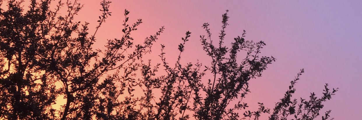 jsilllll's profile banner image