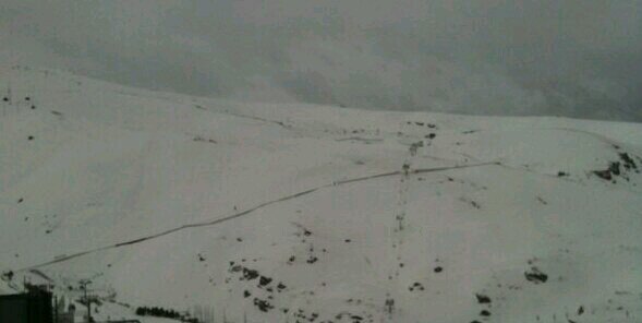 Amparo Talens Bolós banner