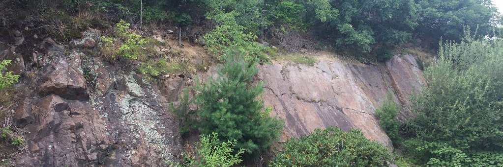 Mark Perigard banner