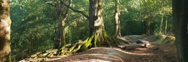 QcattQ Profile Banner