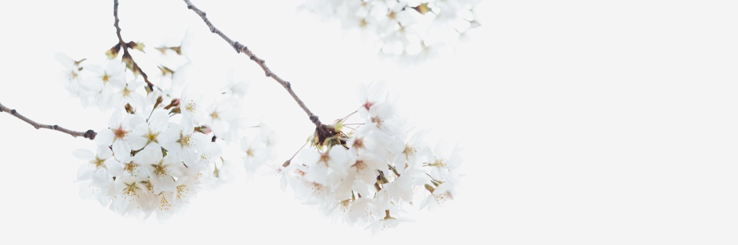 AMindfulLifeLA's profile banner image