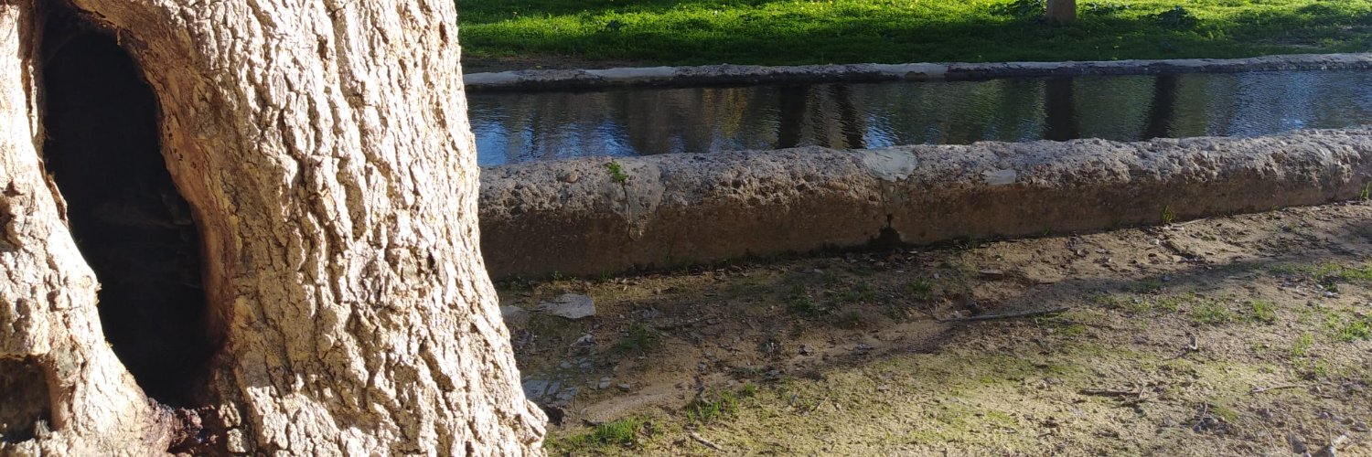 ACFDELSOL's profile banner image