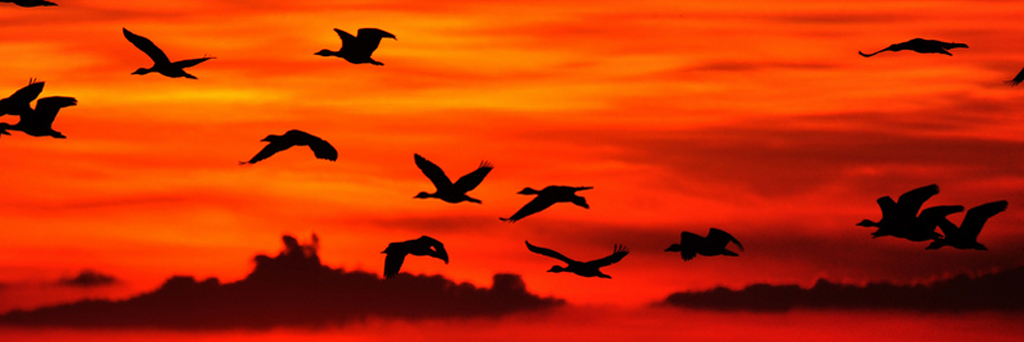 JohnJ0268's profile banner image