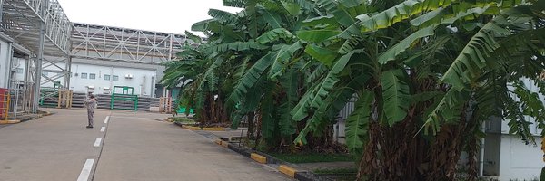 Toan25936235 Profile Banner