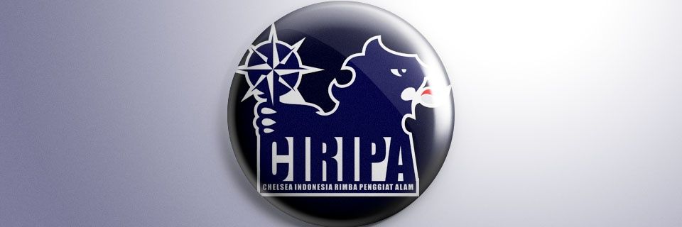 CIRIPA_Solo's profile banner image