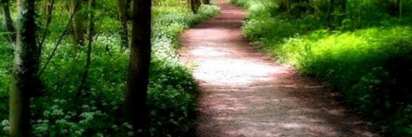 Armani7 Profile Banner