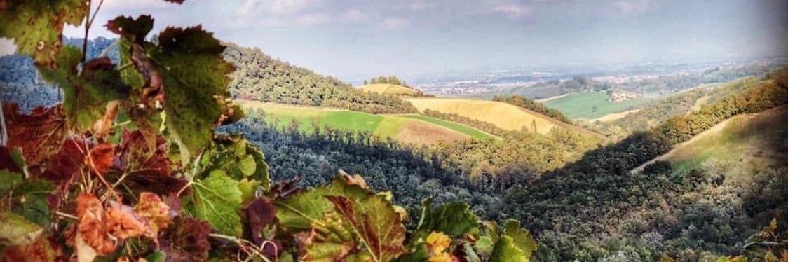 CantineCerdelli's profile banner image