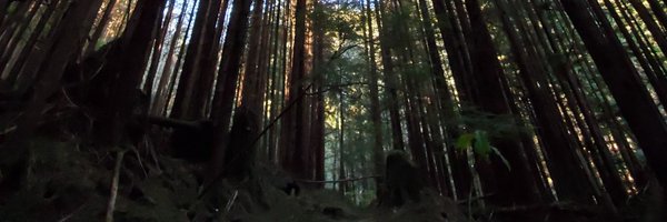 Winterdoom Profile Banner