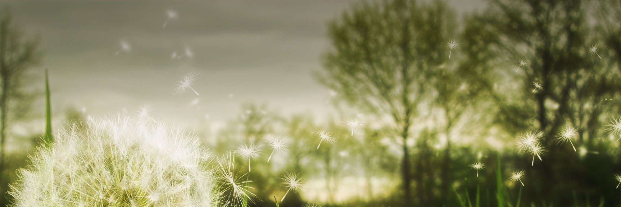epickett2's profile banner image