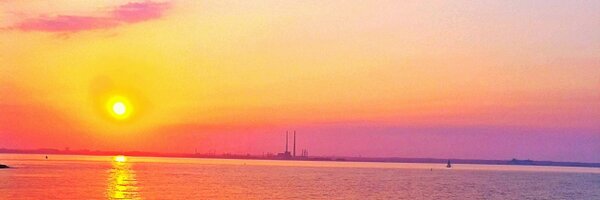 Hingo85 Profile Banner