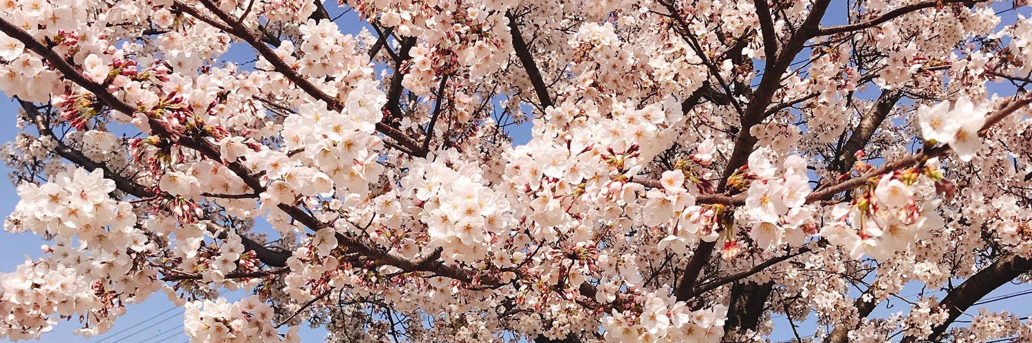 PuRu0321's profile banner image
