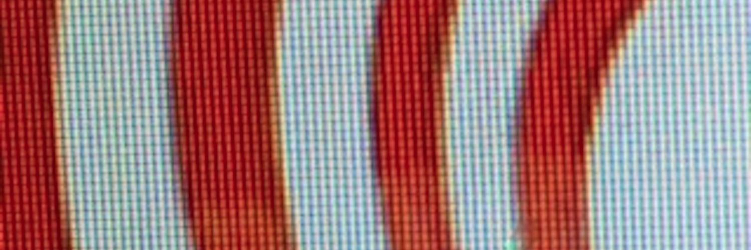 birds of avalon banner