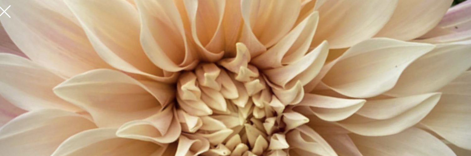 AutumnMmm's profile banner image