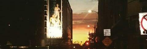 aut9518's profile banner image