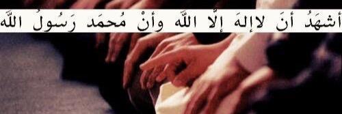 عبدالمجيد ال طالب #الحارقه _عشر❤️‍🔥 banner