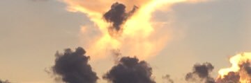 katgrr07's profile banner image