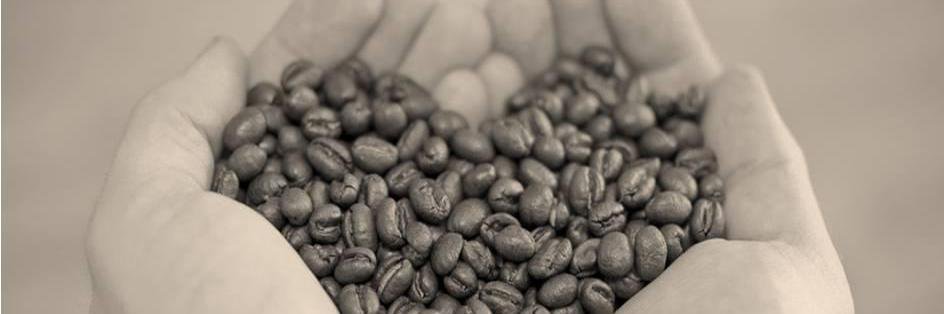 caffeprofessore's profile banner image