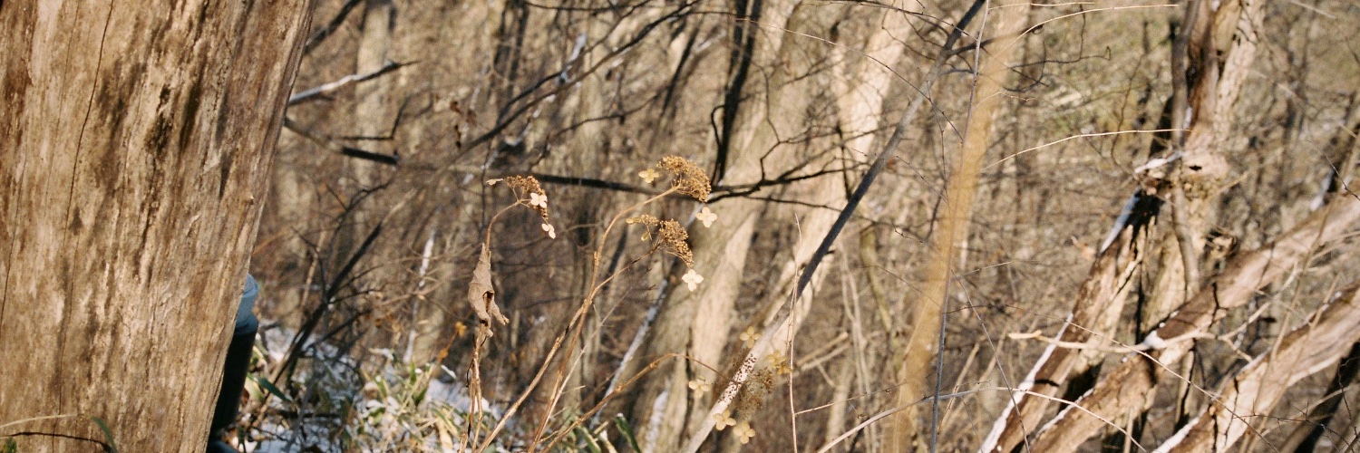 Okuboai's profile banner image