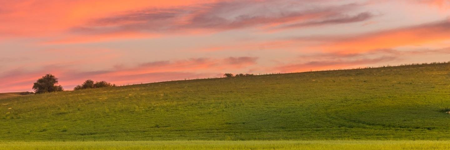 JDecierto's profile banner image