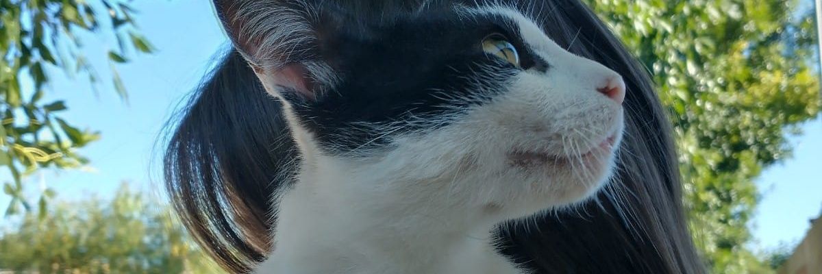 seleehammerly's profile banner image