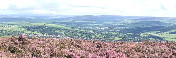 ThompsonRollo Profile Banner