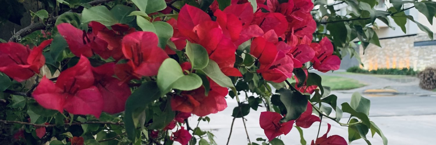 MarrRodriguez_'s profile banner image