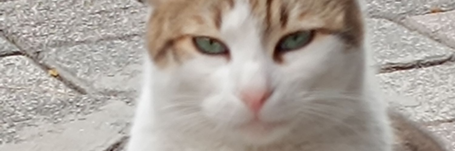 murattim_34's profile banner image