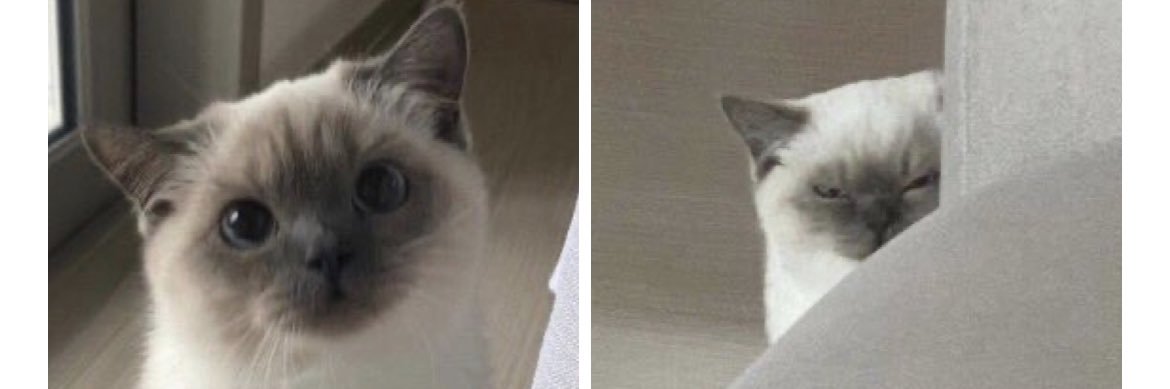HugoTardy's profile banner image