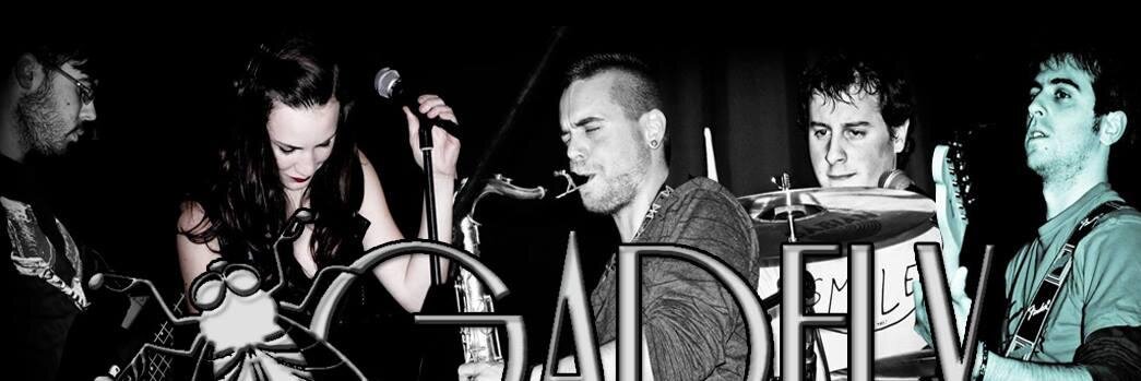 Gadflyband's profile banner image