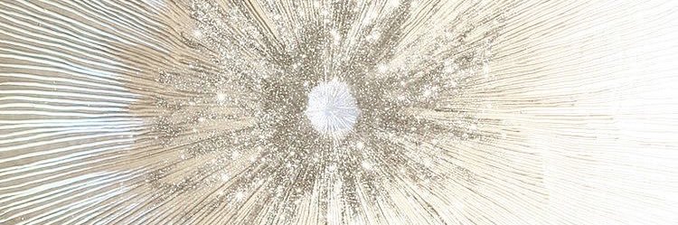 softlydelicatee's profile banner image
