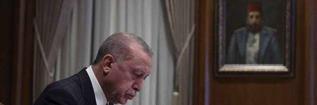 hdrhoca1's profile banner image
