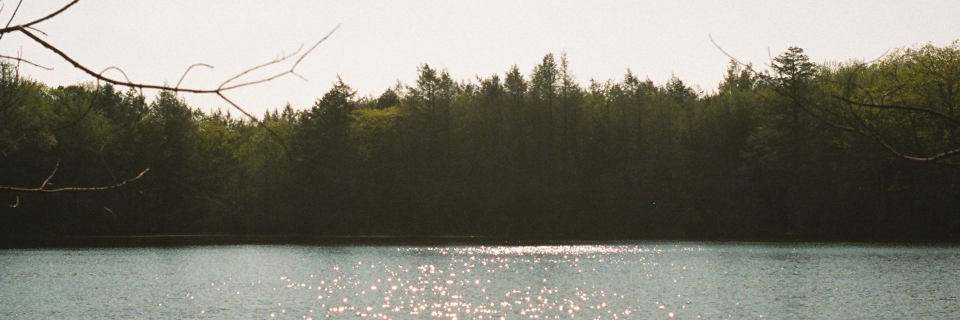 jdloya's profile banner image