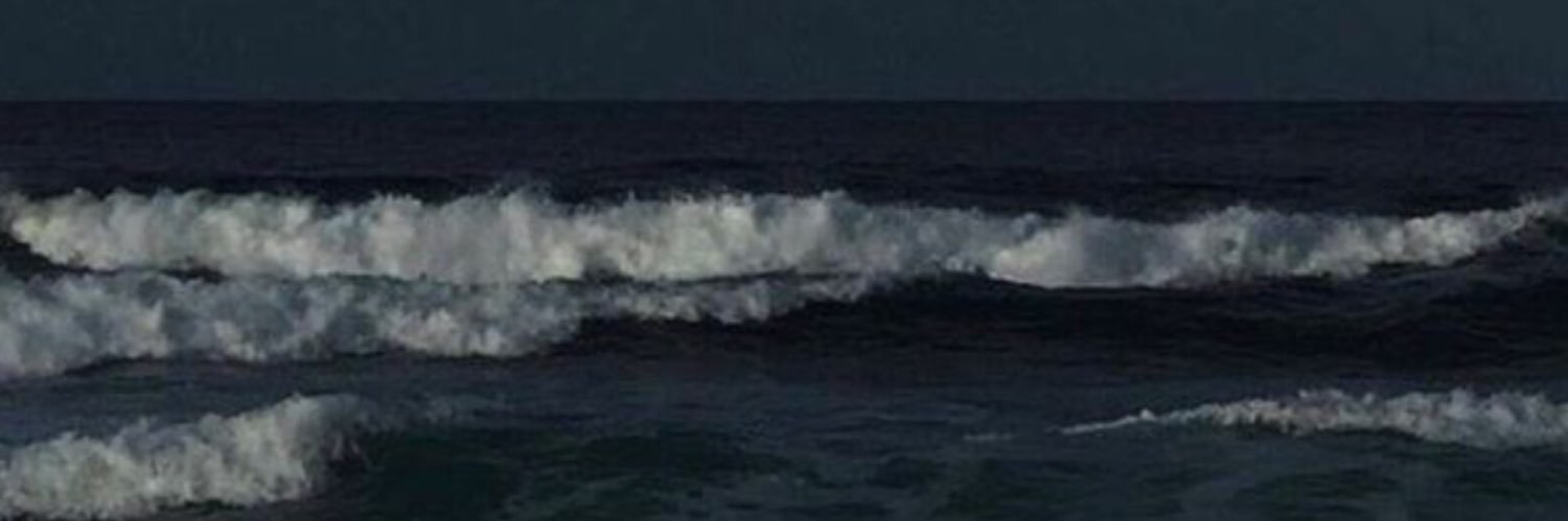 demrcogluzehra's profile banner image