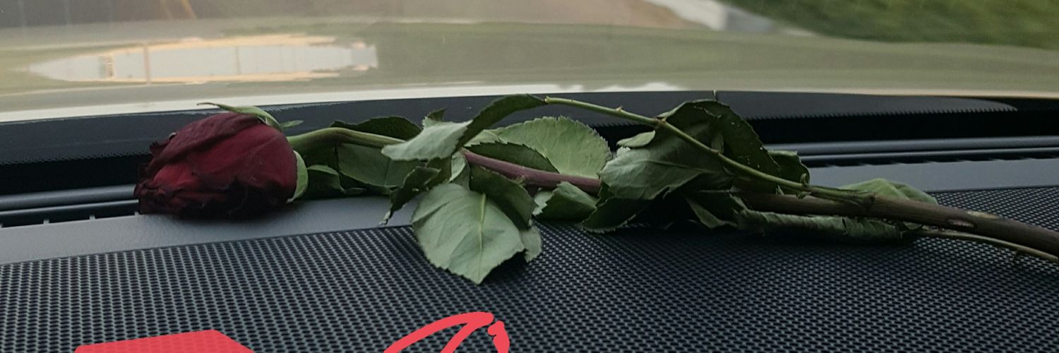 B.M.T (🫡 🇦🇪❤️⚔️) banner