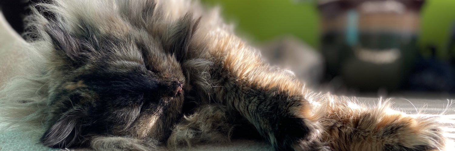 bethxnyco's profile banner image