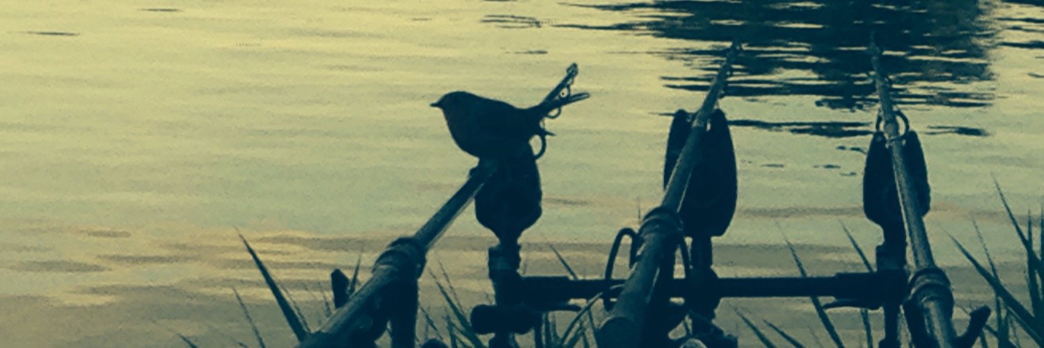 lrjmunro7's profile banner image