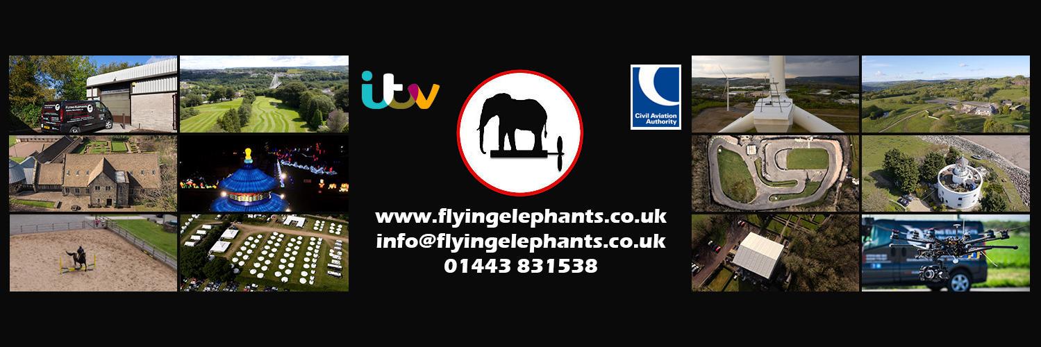 Flying Elephants banner