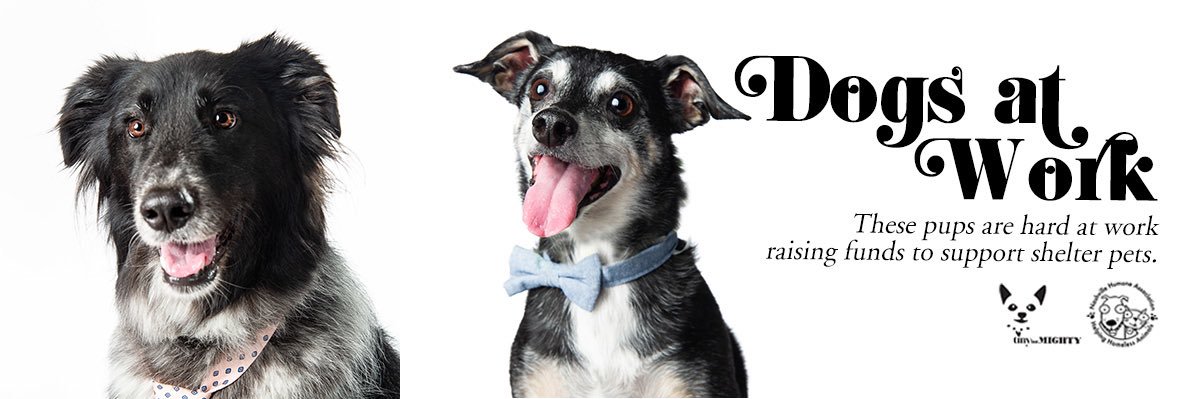 TinyButMightyTN's profile banner image