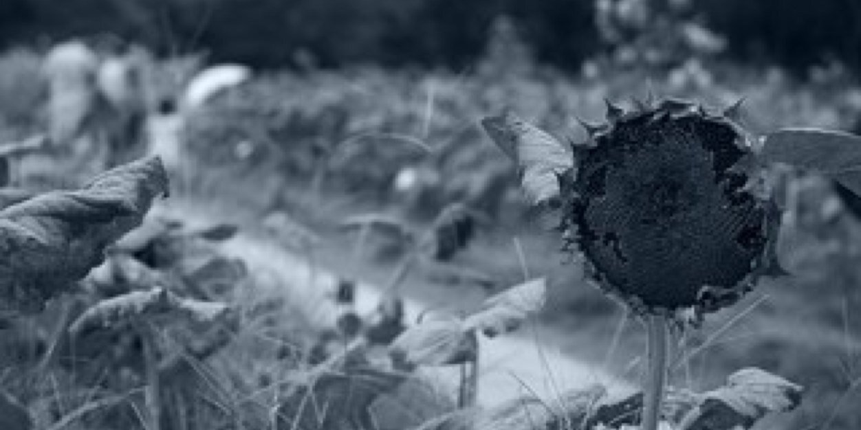 br__ss's profile banner image