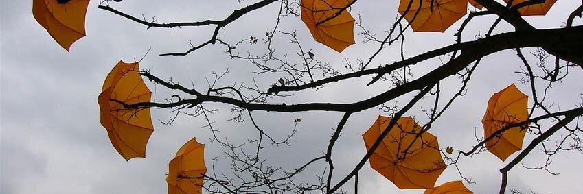 Talkativee's profile banner image