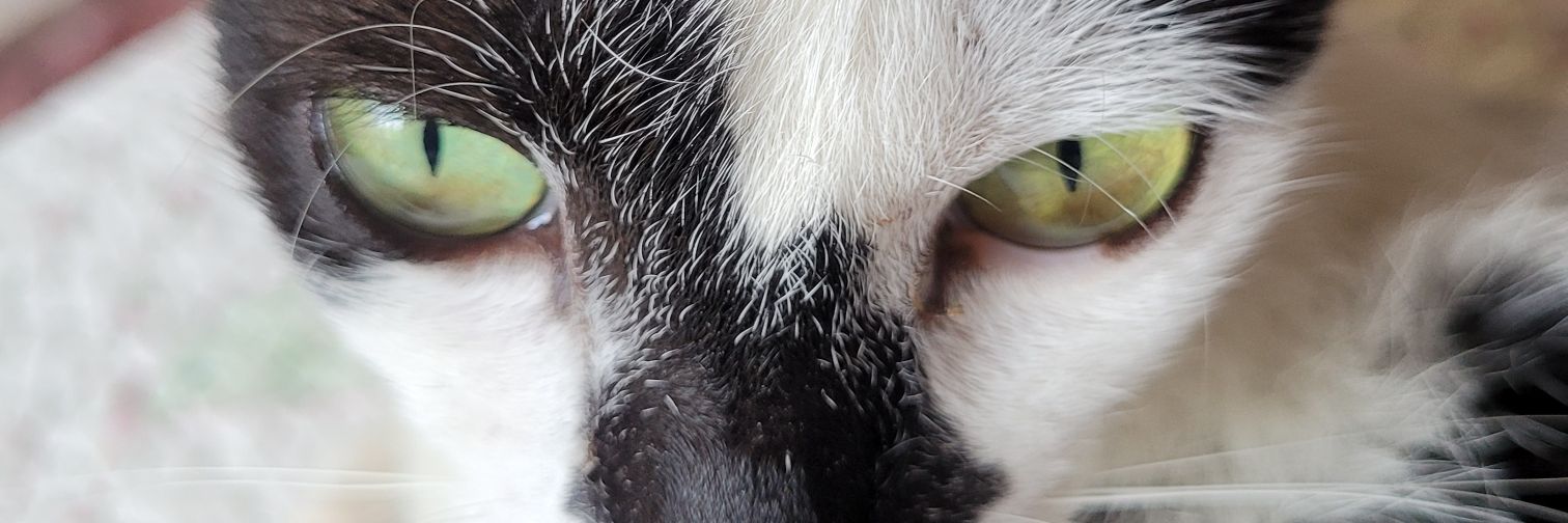 um_grama's profile banner image