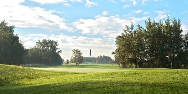 Cardiff Golf Club banner