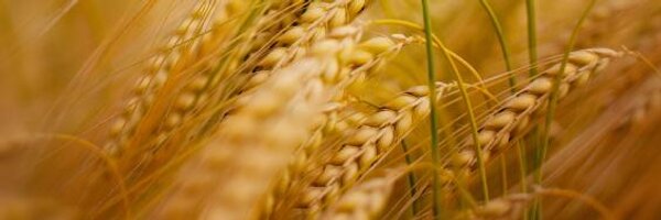 adamsandhowling Profile Banner